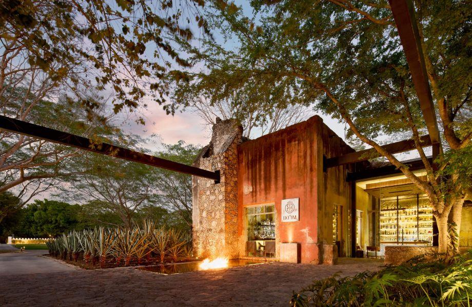Fine dining and restaurant experience in Merida Yucatan